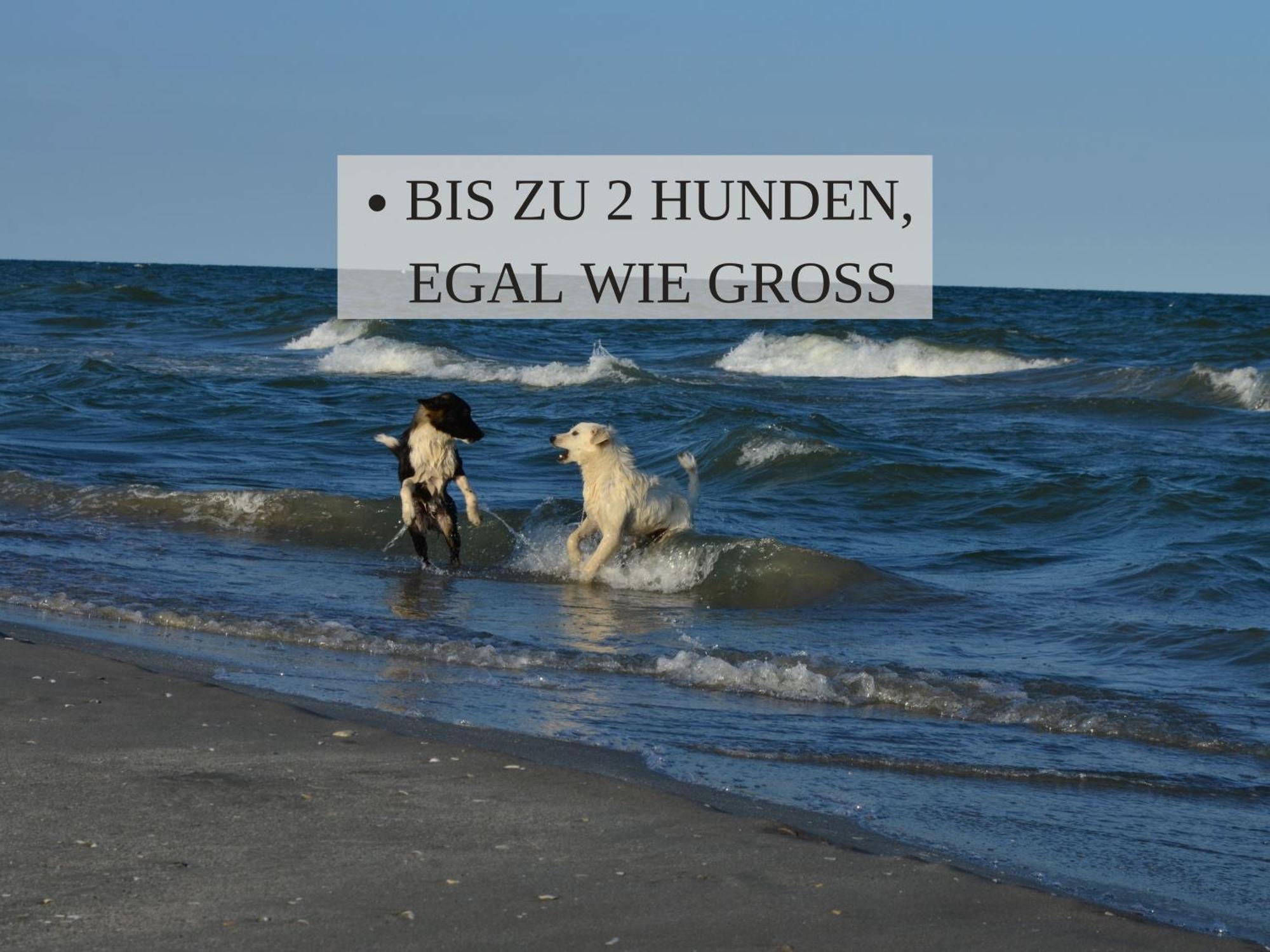 Haus Krabbe, Apartment 10, Naehe Bremerhaven, Fuer 1-2 Personen, 2 Schlafzimmer, Einzelbetten, Zweite Etage, Zentral Gelegen, Bis Zu 2 Hunden Kostenfrei Willkommen Wremen Exteriör bild